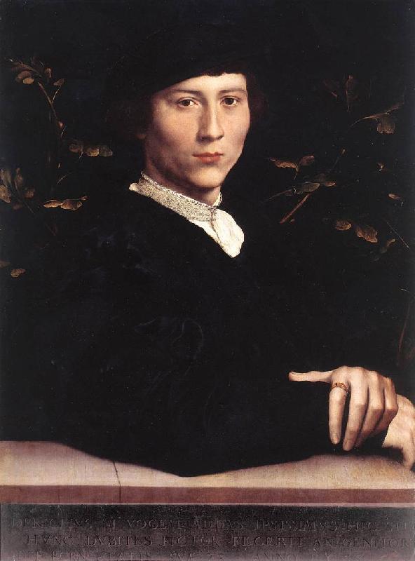 HOLBEIN, Hans the Younger Portrait of Derich Born af oil painting image